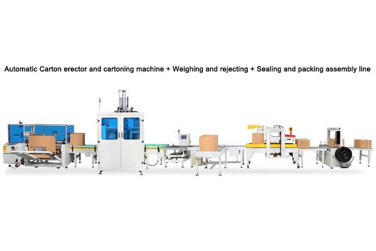 Automated packaging line integrating sealing, labeling, and quality control.