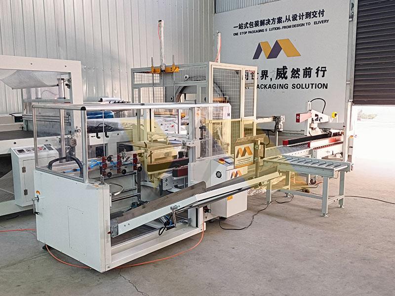 semi automatic case erector workshop